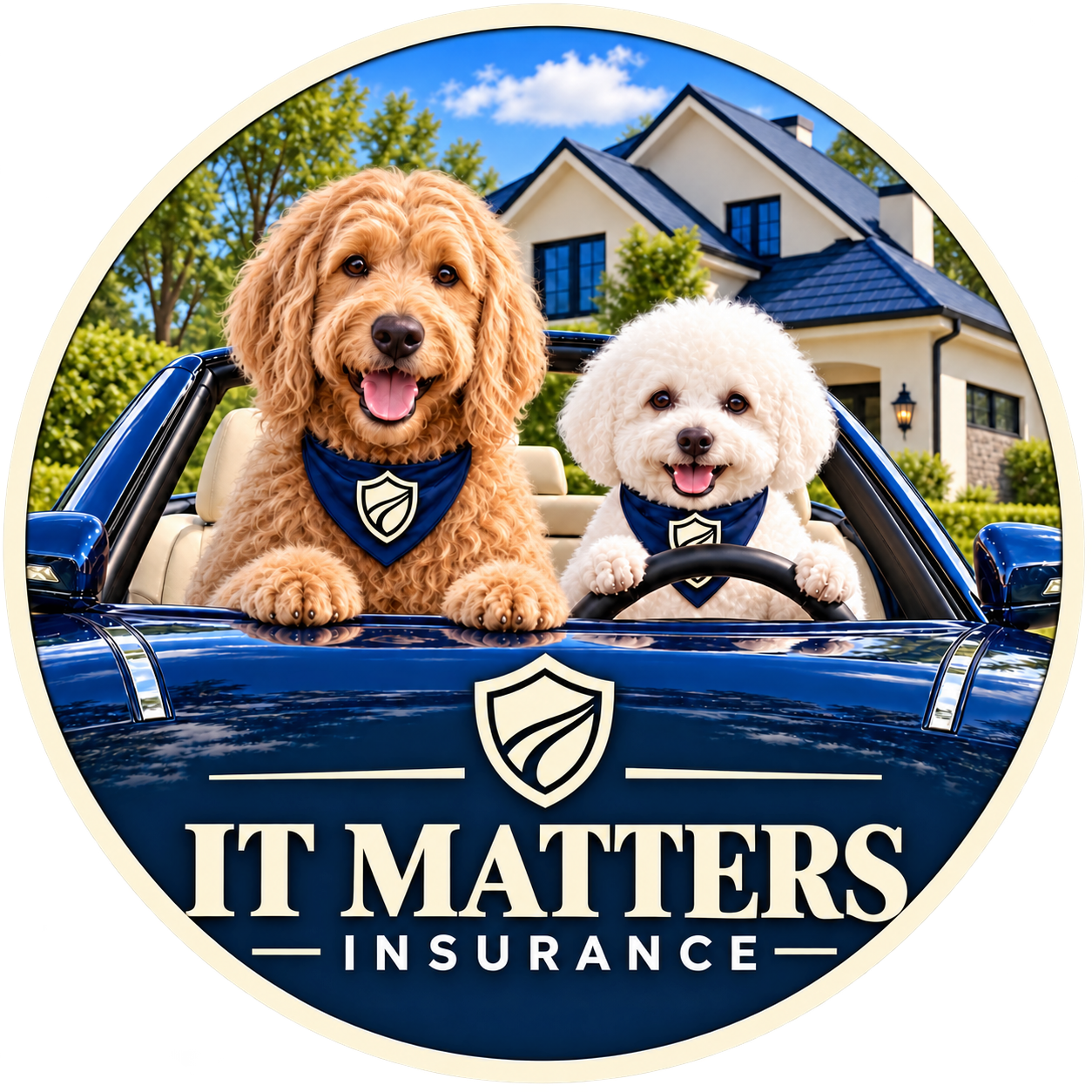 It Matters Insurance, Inc. logo featuring two dogs in front of a house and car.